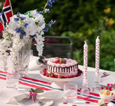 17. mai festbord ute