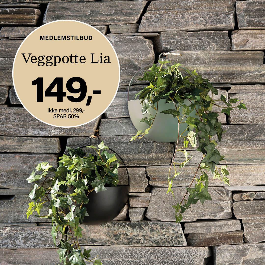 Veggpotte tilbud banner