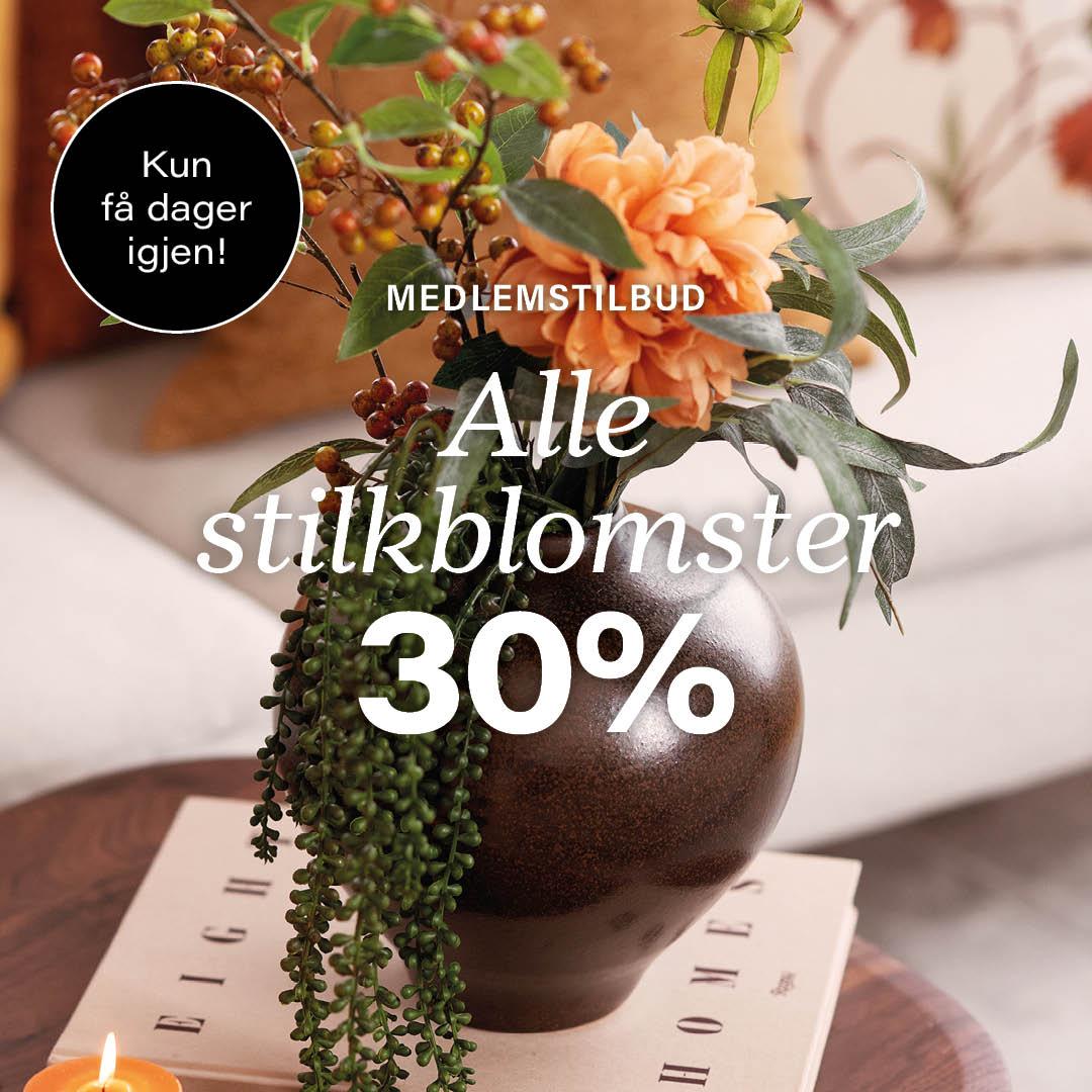 Stilkblomst tilbud banner