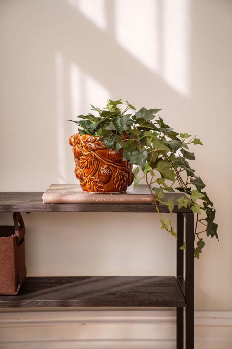 Planter i kurver