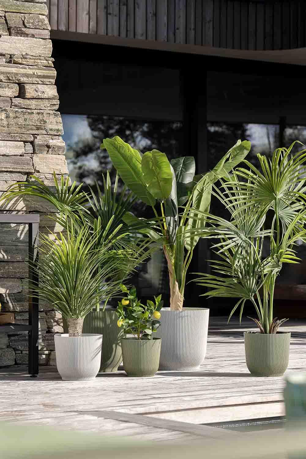 Utepotter Isla og Mandy