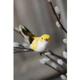 Pynt gul fugl på kvist