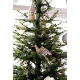 Fugl på klype kolibri gull i juletre nærbilde