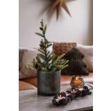 Lyslykt Granskatt 15cm med juletre 46cm