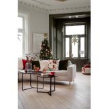 Putetrekk velur dompap lys i sofa i stue