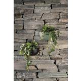 Veggpotte lia hengende på vegg ute med planter