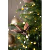 Fugl på klype kolibri brun i juletre nærbilde