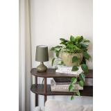 Potte Eir på konsollbord ethan med lampe ine