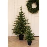 Tre med ledlys i to forskjellige størrelser