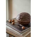 Krukke Valnøtt på bøker nærbilde