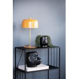 Blomsterpotte Ansikt med succulent 