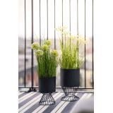 Blomst i potte 50 cm i pidestall