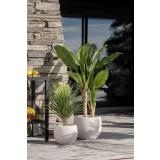 palme