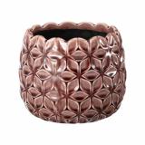 Potte Rose 15 cm