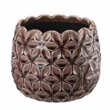 Potte Rose 15 cm