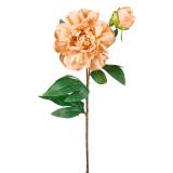 Stilkblomst Peon 70cm oker