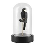 sort pappegøye i monter