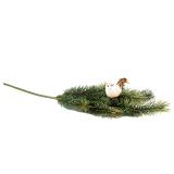Plante Granbar