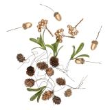 Naturpynt i pakke