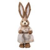 Hare natur jente i kjole