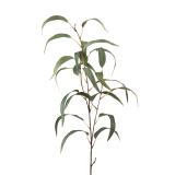 Grend med grønne blader