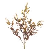 Stilk eucalyptus høst farger