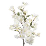 Gren Kirsebærblomst H 105 cm