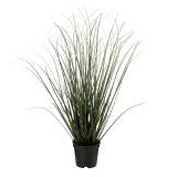 Gress i potte 48cm
