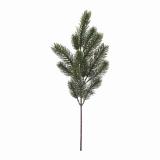 Gren gran 50cm