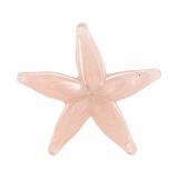 Figur Sjøstjerne