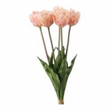 Tulipan Papegøye Bukett 39cm 5-pk