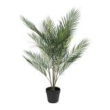 Palme Kwai i potte 97cm