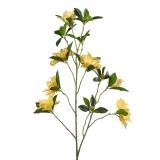 Stilkblomst Clematis 83cm