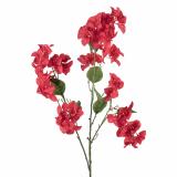 Stilkblomst Bougainvillea 106 cm