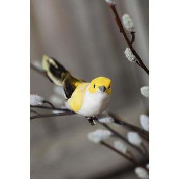 Pynt gul fugl på kvist