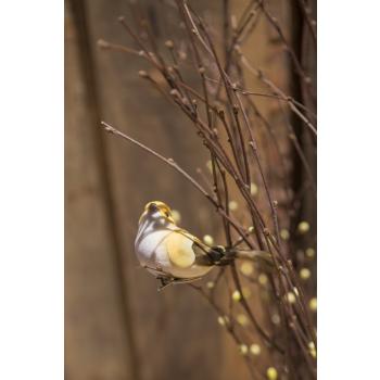 Pynt gul fugl på kvist 