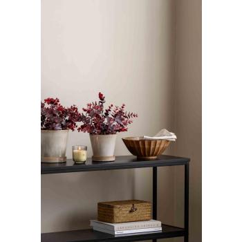 Potte Arona på konsollbord 