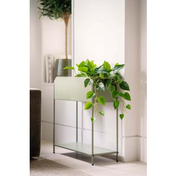 Hengeplante i plantekasse i stue