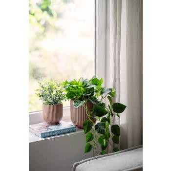 Grønne planter i potter stående i vinduskarm