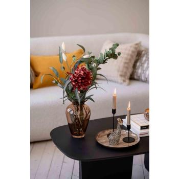 Gren Eucalyptus i vase med flere grener nærbilde 