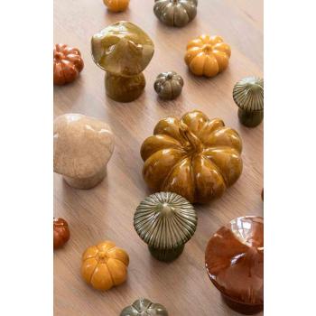 Diverse utvalg av sopper og gresskar