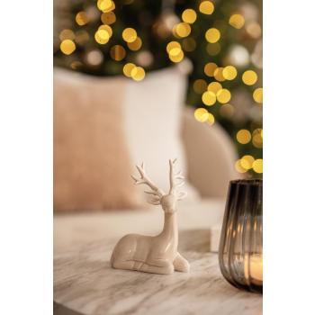 Nærbilde av dådyr liggende