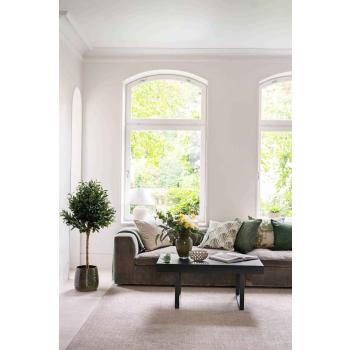 Stuemiljø med sofabord, puter og grønne planter