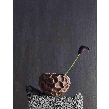 Soil Krukke med en plante