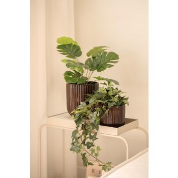 Planter eføy og monstera på sidebord