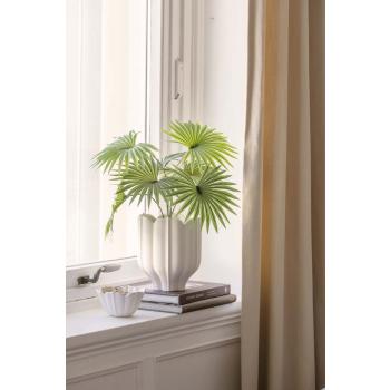 Potte Alice med plante livostina