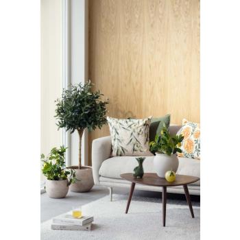 Stuemiljø i grønne freshe farger