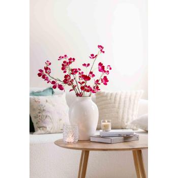 Blomst Kornell i vase alba