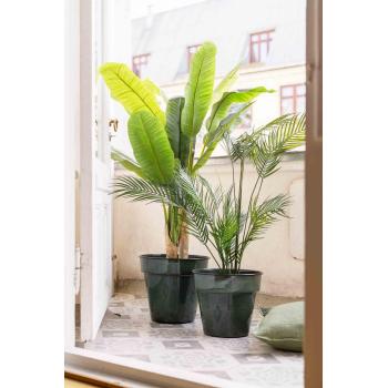 Banantre og palme i utepotte mandy grønn på balkong