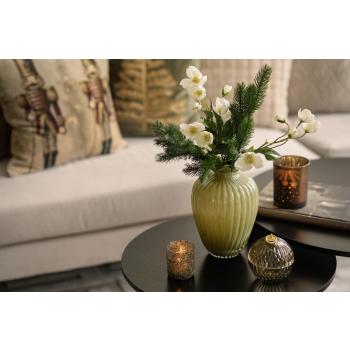 Julerose i vase på stuebord